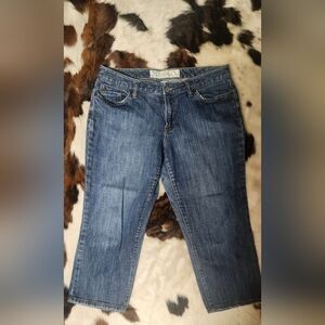 LOFT Women's Classic Straight Leg Jeans - Dark Blue